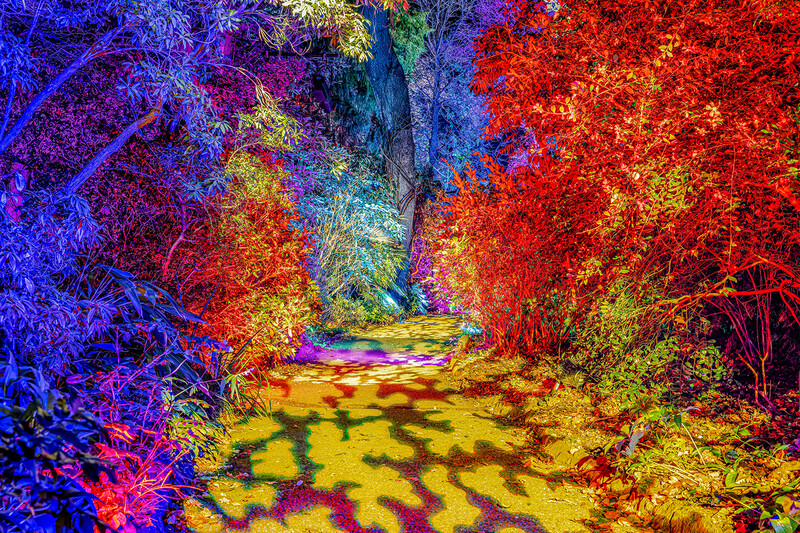 sm_Illuminate Abbotsbury Subtropical Gardens_4